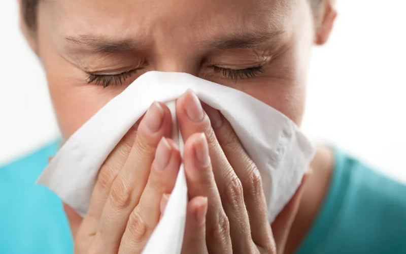 Why Never Getting Sick is Actually Not So Healthy